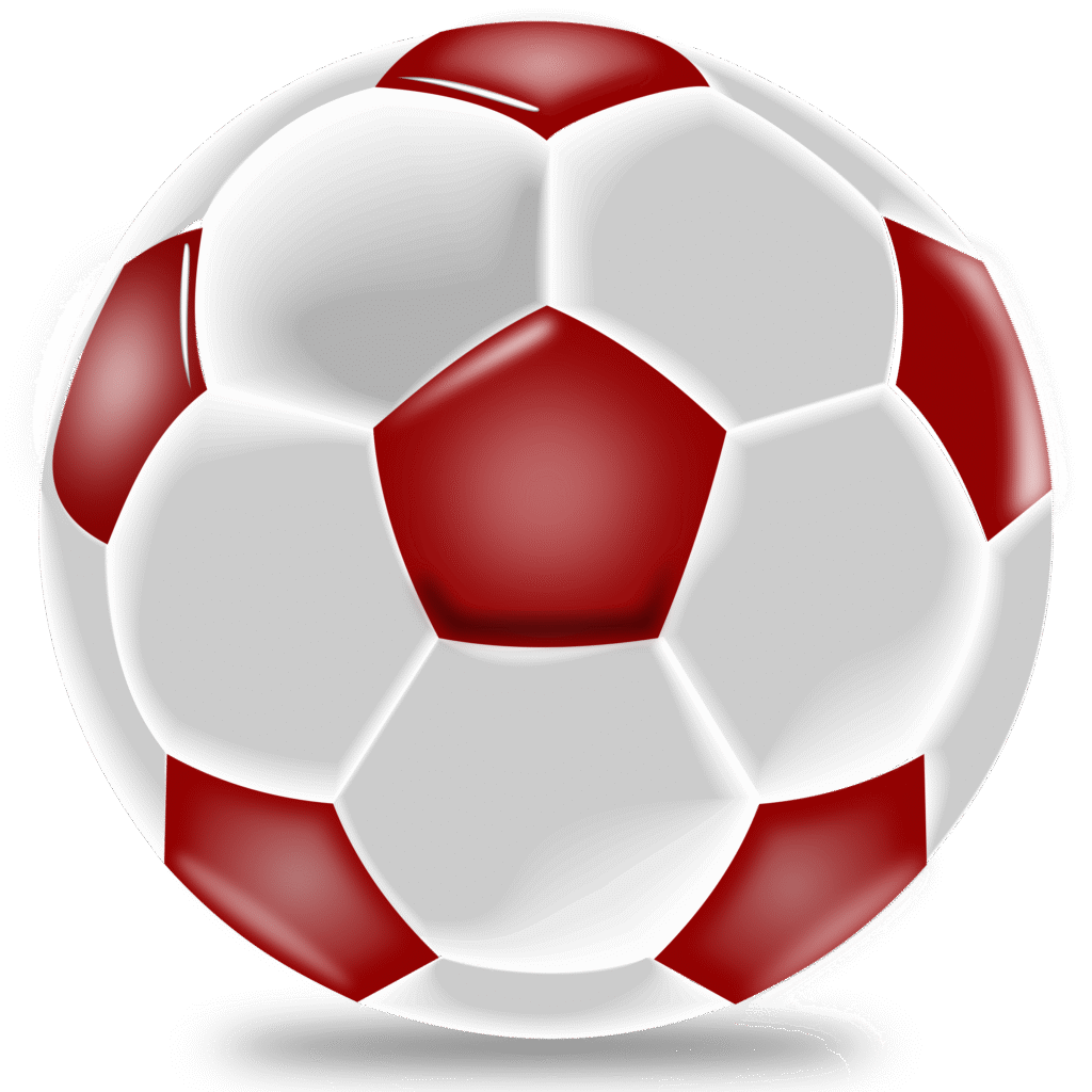 Mangoship featured photo